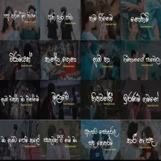 Manoparakata (මනෝපාරකට) Shinhala Song Slowed And Reverb Playlist 12 Manoparakata (මනෝපාරකට) Shinhala Song Slowed And Reverb Playlist 12