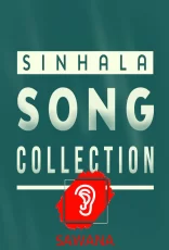 Trending Song Collections Trending Song Collections